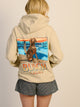 BUSCH LIGHT DOG DAYS PULLOVER HOODIE BUSCH - Boathouse USA