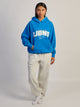 NFL DETRIOT LIONS STITCH HOODIE NFL - Boathouse USA