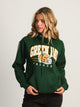 NFL GREEN BAY PACKERS PULLOVER HOODIE NFL - Boathouse USA
