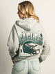 NFL PHILADELPHIA EAGLES PULLOVER HOODIE NFL - Boathouse USA