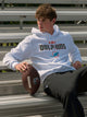 NFL MIAMI DOLPHINS LOGO PULLOVER HOODIE NFL - Boathouse USA