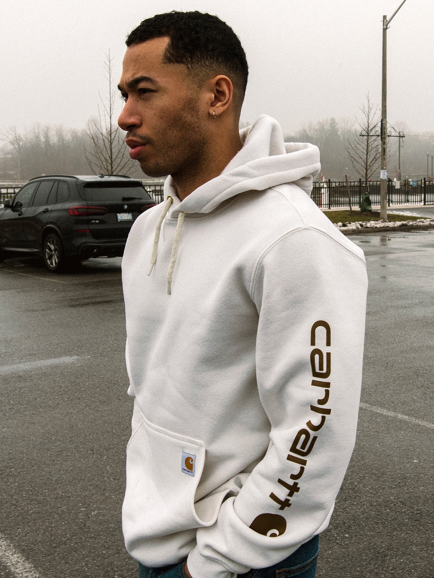 Carhartt logo sleeve hoodie online