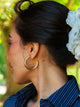 HARLOW CHARLENE HOOPS - GOLD HARLOW - Boathouse USA