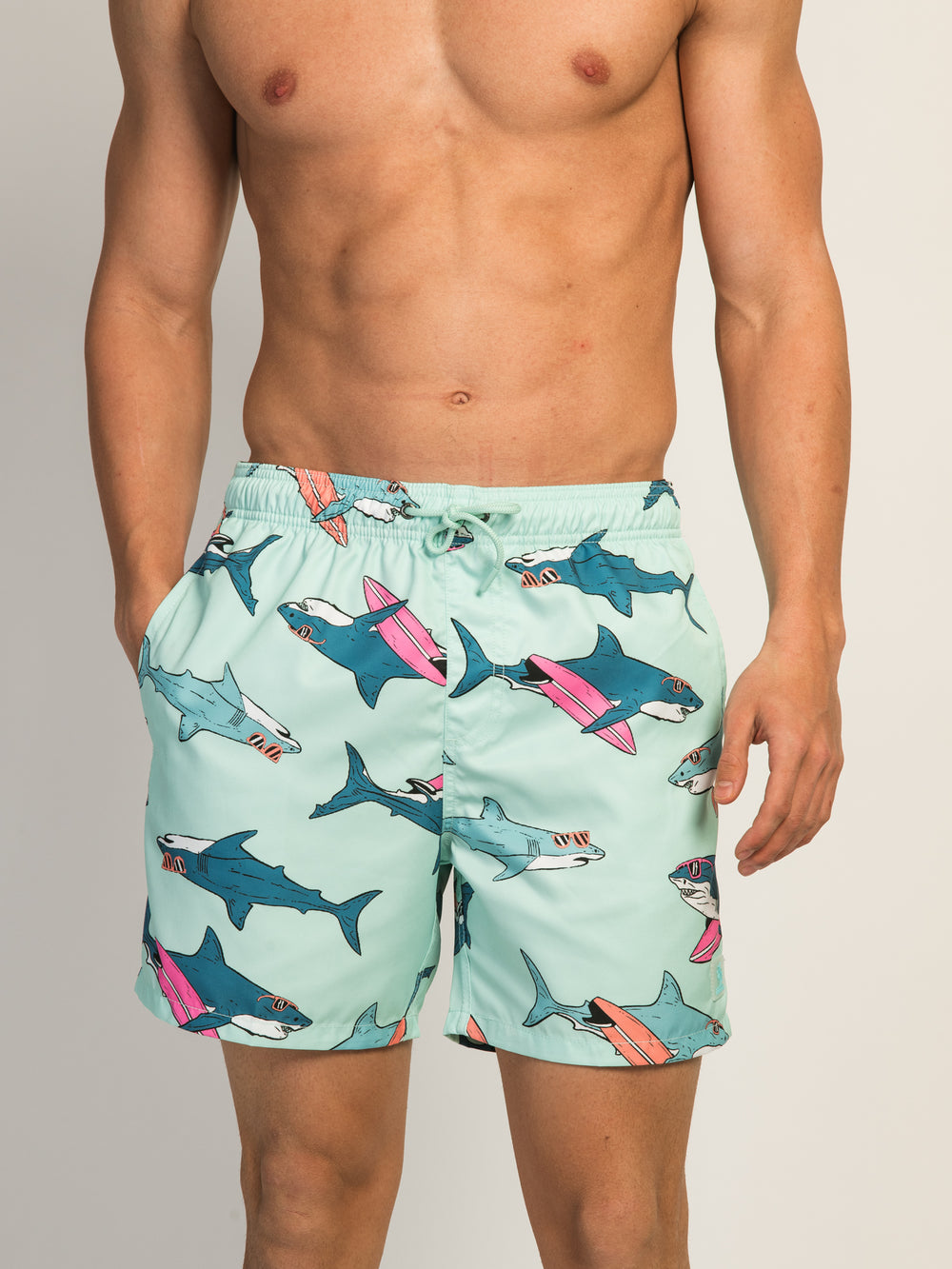 ISLAND HAZE SURFING SHARK 5IN VOLLEY SHORT - AQUA