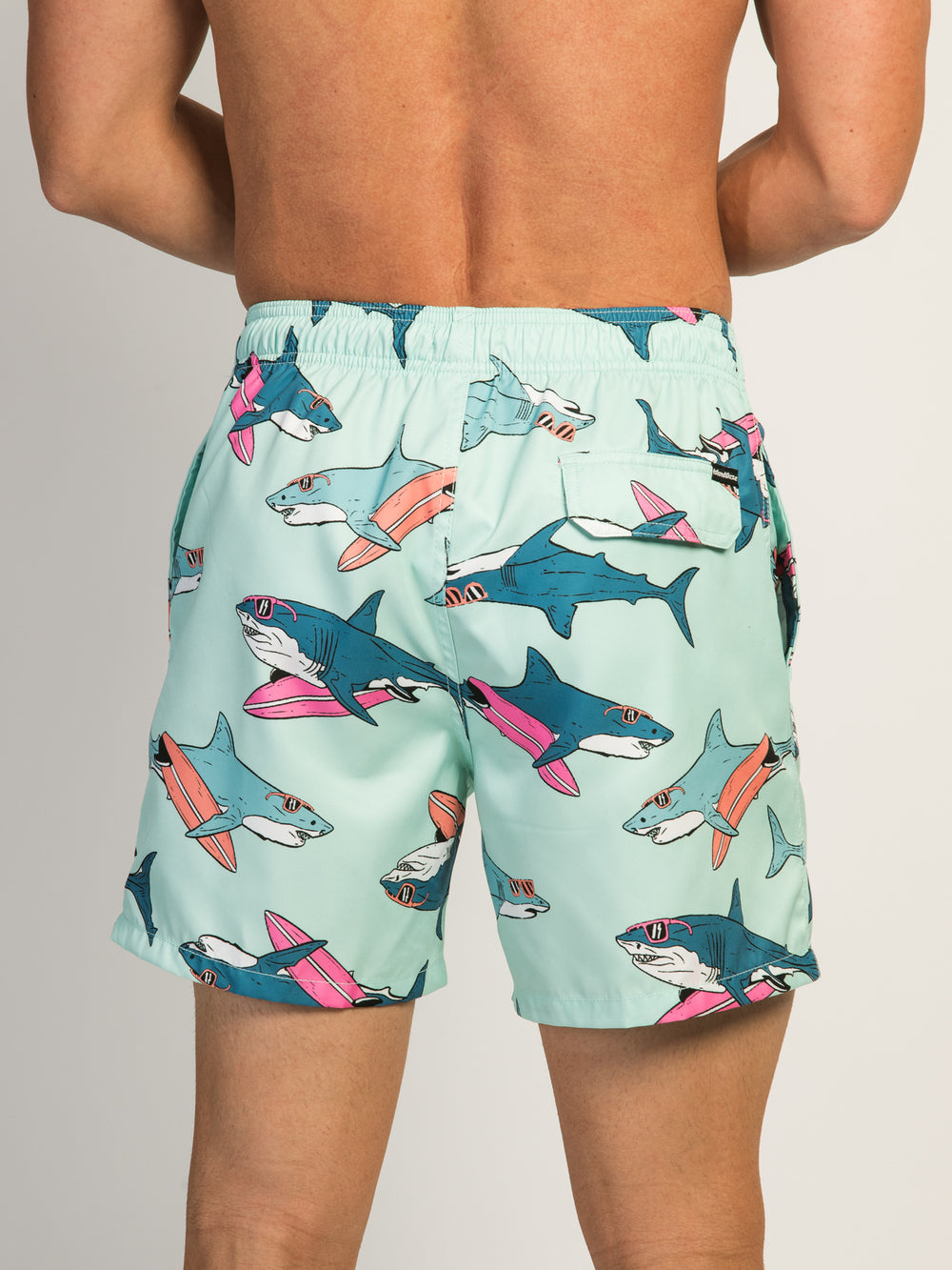 ISLAND HAZE SURFING SHARK 5IN VOLLEY SHORT - AQUA