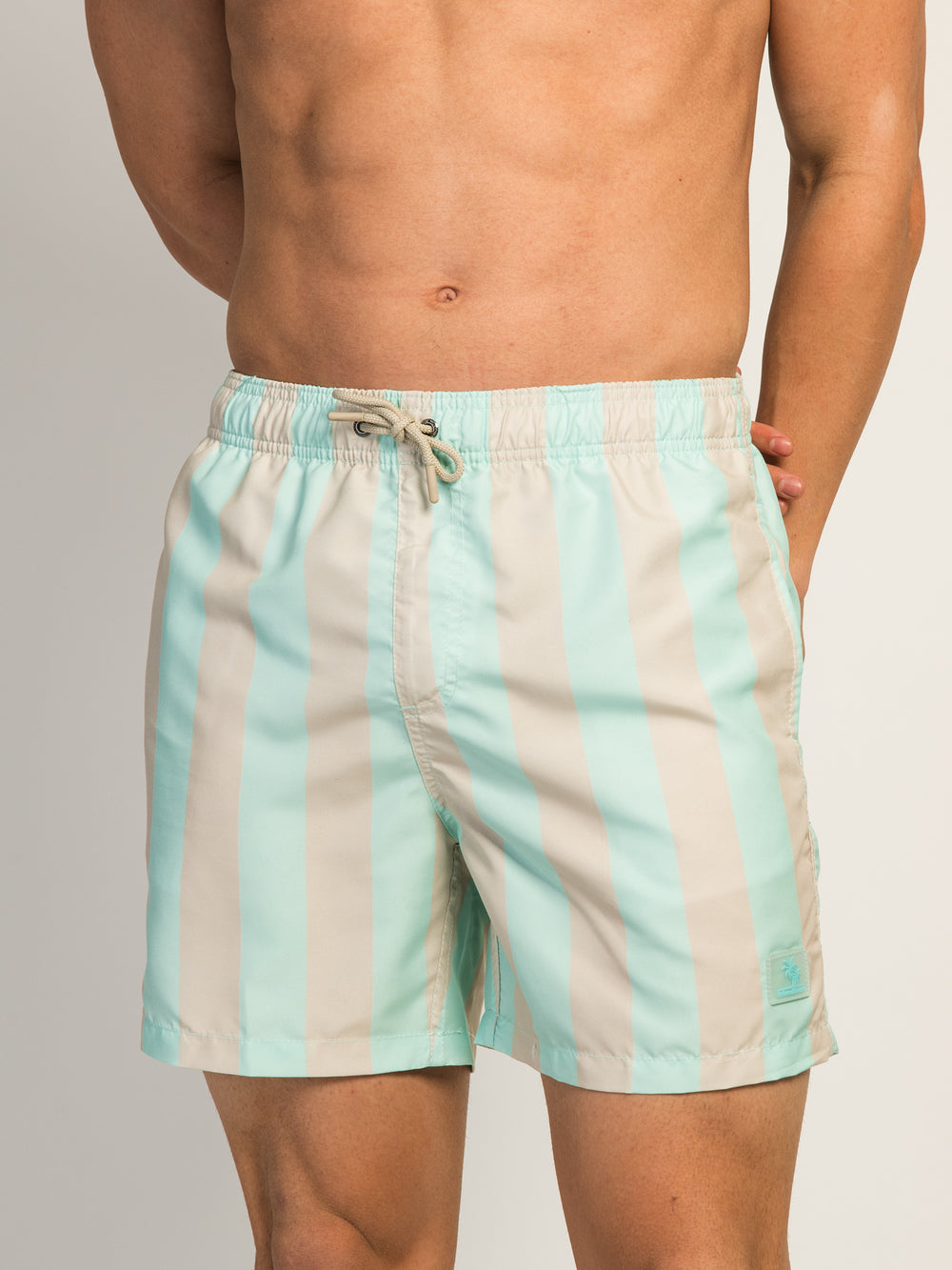 ISLAND HAZE VERTICAL STRIPE 5IN VOLLEY SHORT