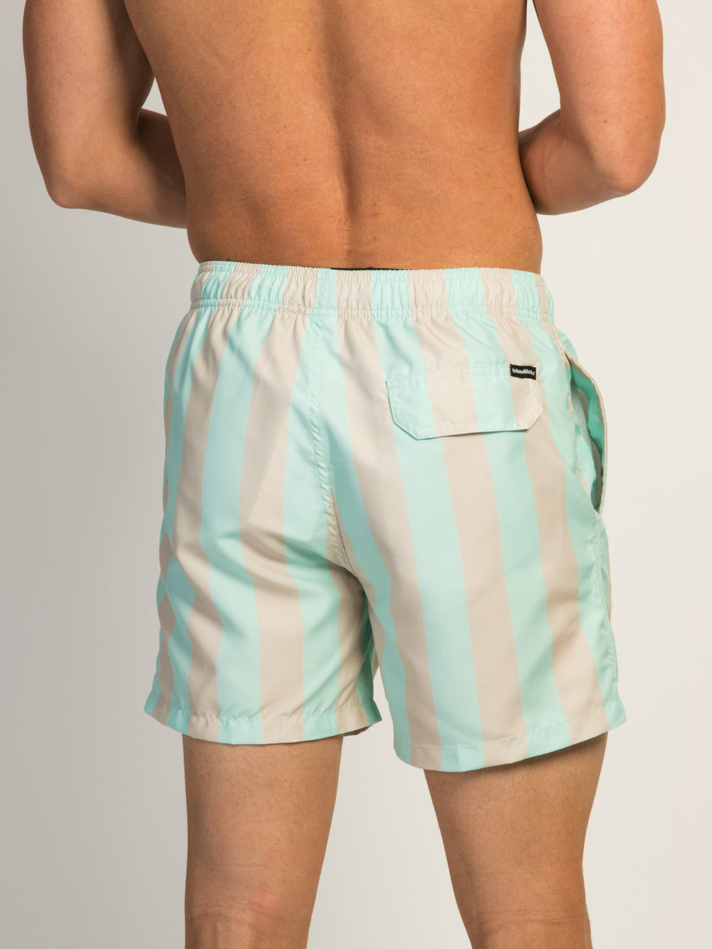 ISLAND HAZE VERTICAL STRIPE 5IN VOLLEY SHORT