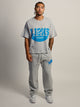 NFL LIONS SC VINTAGE T-SHIRT