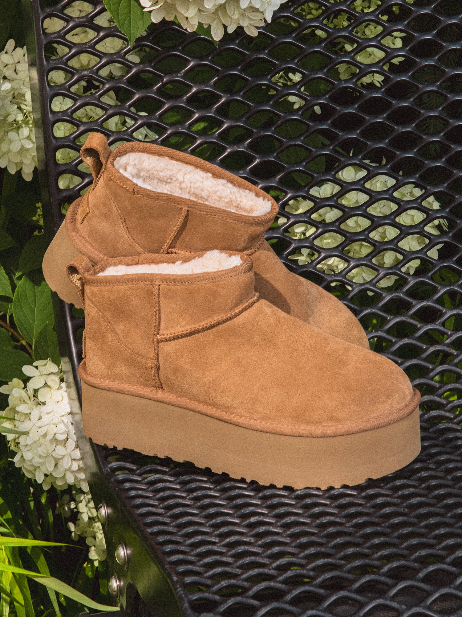 UGG ultra mini boot buy