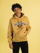 RUSSELL NCAA BERKELEY PULLOVER HOODIE RUSSELL ATHLETIC - Boathouse USA