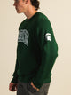 RUSSELL MICHIGAN STATE SLEEVE EMBROIDERED CREW