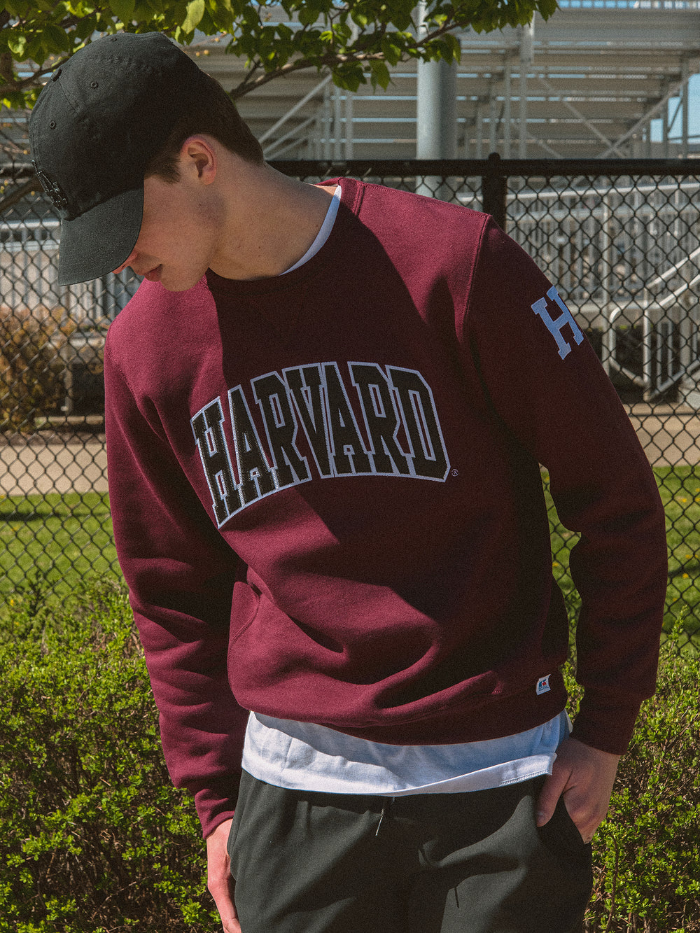 NCAA HARVARD SLEEVE EMBROIDERED CREW