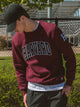 NCAA HARVARD SLEEVE EMBROIDERED CREW NCAA - Boathouse USA